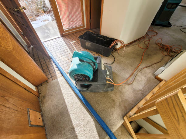 Best Basement water damage restoration  in Briarcliff, TX