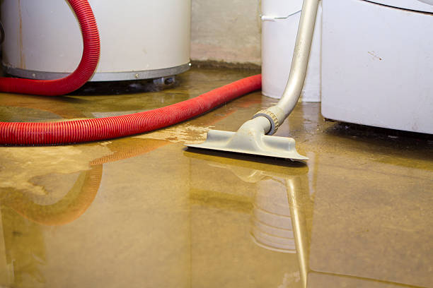 Best Water damage cleanup near me  in Briarcliff, TX