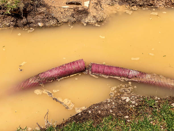 Best 24/7 water damage repair  in Briarcliff, TX