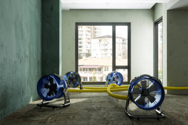  Briarcliff, TX Water damage restoration Pros